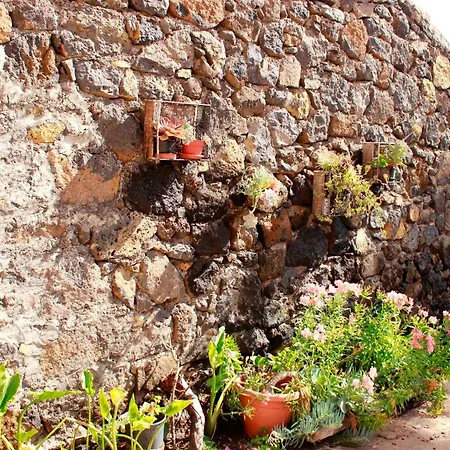 Casa Basilisa Capote *